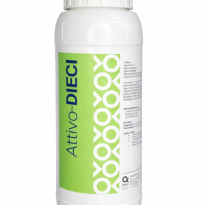 Attivo DIECI